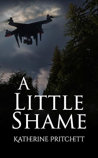 A Little Shame audiobook cover